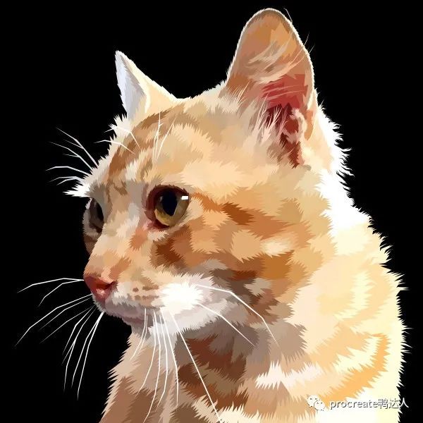 萌化啦，procreate超可爱动物教程来啦，轻松掌握萌系插画【587期】-yadaren