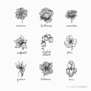 她凭借植物花卉线稿，收获百万粉丝【764期】-yadaren