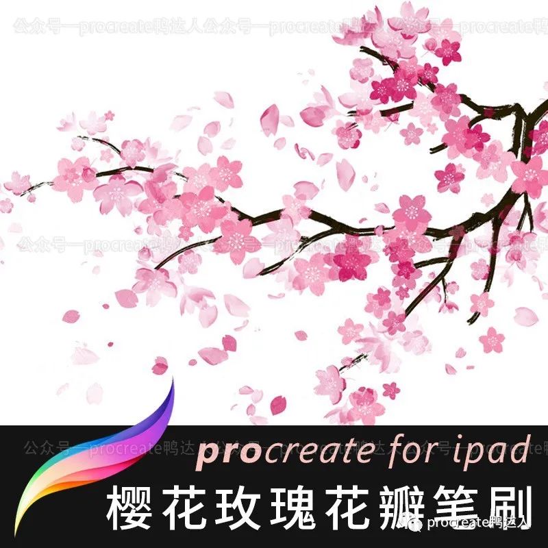 超级好看的procreate樱花笔刷,太治愈啦【302期】-yadaren