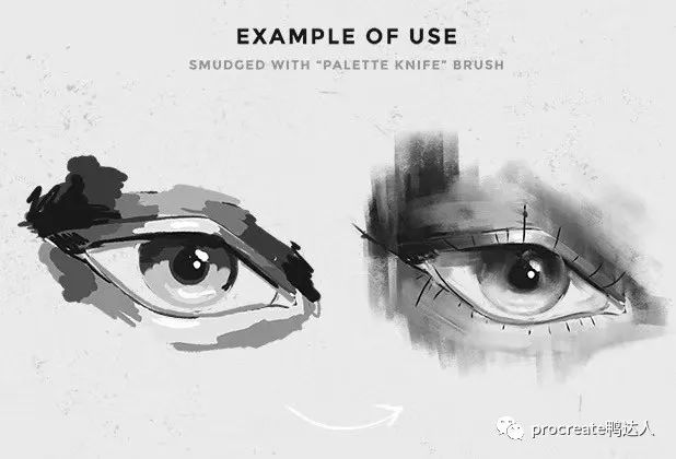 procreate人像顶级涂抹过渡笔刷，好不好用你说了算【263期】-yadaren