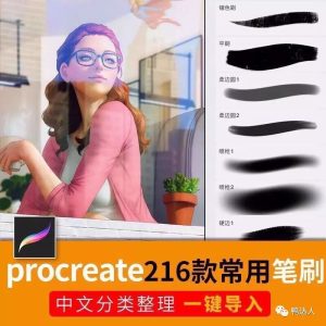 精选18套procreate 常用笔刷，中文分类一键导入【78期】-yadaren