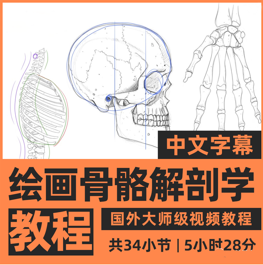 人体总是画不好？画人先画骨啊！胆小勿进【720期】-yadaren