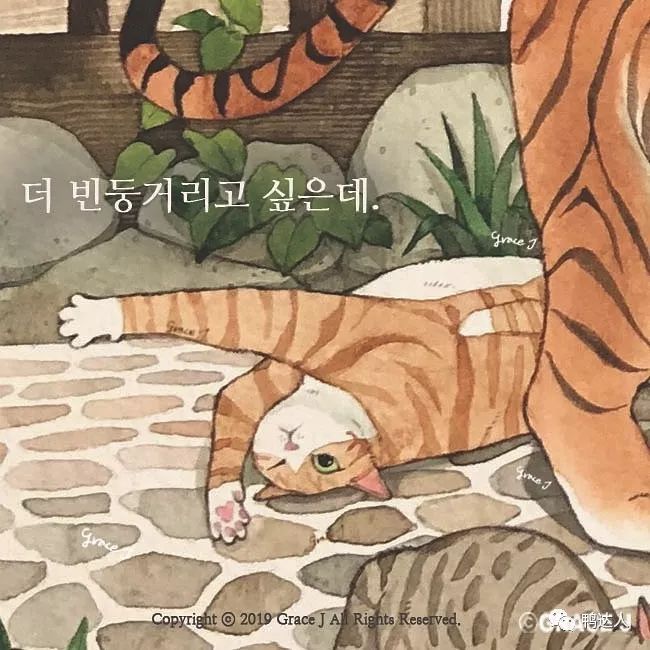 太治愈了，一波猫咪插画作品分享【157期】-yadaren