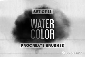 自带宣纸纹理效果的国画水墨毛笔晕染笔刷，质感无敌！【461期】-yadaren