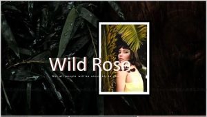 39套莫兰迪配色PPT模版，高级感满分【517期】-yadaren