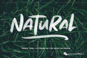 你们要的ps书写笔刷来啦,这油漆效果太强了【331期】-yadaren