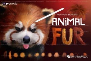 外网大神原创逼真动物毛发笔刷!我感觉我又可以了【394期】-yadaren