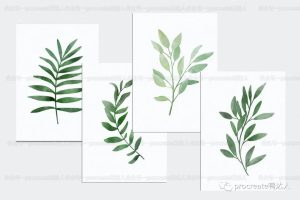 ipad超齐全自然效果的水彩笔刷套装,也太适合初夏了【251期】-yadaren