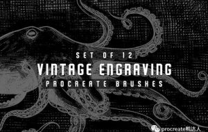 手工雕刻procreate笔刷，复古风满满【289期】-yadaren