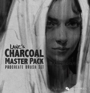 Lane.Draws大神同款笔刷套装来啦,轻松创作大师级素描作品【876期】-yadaren