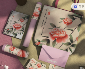 快来拯救你的插画作品集!插画师必备45个国潮风周边衍生品样机【426期】-yadaren