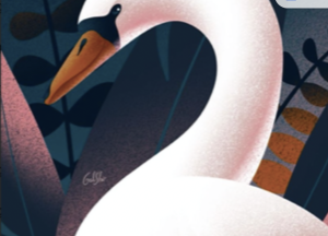 偷偷收藏Galshir全套教程笔刷素材合集，成为自由插画师必备神器【514期】-yadaren