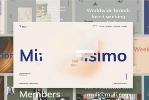 设计师专用高级质感作品集模板来啦,工资翻倍触手可得【642期-yadaren